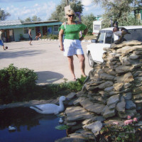 img048.jpg
