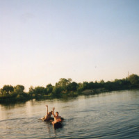 img232.jpg